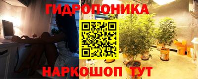ПСИЛОЦИБИНОВЫЕ ГРИБЫ Моздок