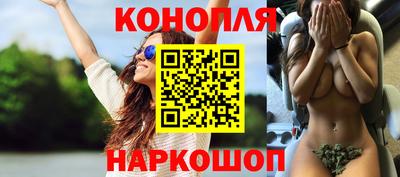 прущие грибы Можга