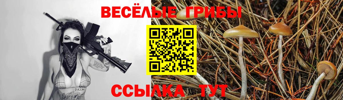 что такое наркотик  Галлюциногенные грибы Psilocybe  Тихорецк  Вход с VPN  Галлюциногенные грибы прущие грибы 